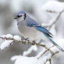 여주점봉부영아파트 - 153491 | 여주점봉부영아파트