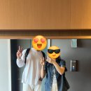 (주)뉴에코 | 2일차 블루마운틴 투어, 페더데일 동물원, 링컨스락, 에코포인트, 별보기 (feat. 호주 무한투어 내돈내산)