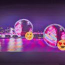 스컬스 피시 이미지