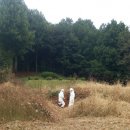 서천소방서-24 이미지