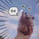 더 테라스짐 이미지