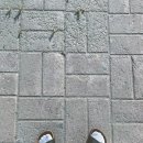 여름;달