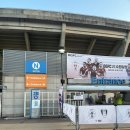 데스파시토 | OGFC VS 수원 삼성 이벤트 매치 직관 후기