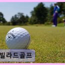 빌라드골프