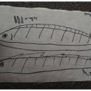 사천읍시장 이미지