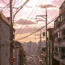 SLR렌트에서 소니 A7R4 미러리스 카메라 대여해서 사용해본 후기!!