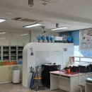 관설초등학교 이미지