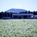 봄·여름·가을 코스 이미지