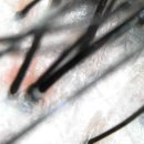 언니네미용실 - 도봉구 | 언니네미용실