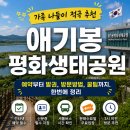 소로3-289 | 수도권 근교, 이런 곳이 있었다고?｜애기봉 평화생태공원 솔직후기 ①편 (+예약·신분증·무료입장 팁)