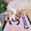 멍스타그램 이미지