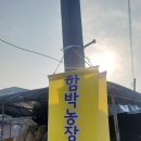 함박농장 이미지