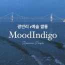 아트인디고 이미지