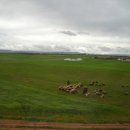 들녘목장 이미지