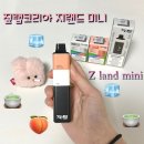 지랜드 이미지