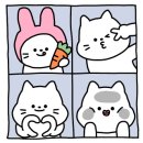 대추사진관