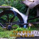 푸른잔디 이미지