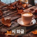 품다/김미성 이미지