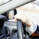 대한렌트카㈜ 이미지