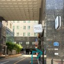 뿌리당구장 | 망원속눈썹펌 바짝 올려주는곳 브로우그리다 전후비교 후기