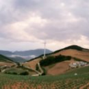 알프스식당 이미지