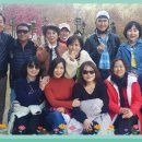 반디네허브 이미지