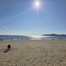 아람우동 | [부산여행] 부산여행 2박3일 일정 리스트 (준비물, 파라다이스호텔)