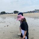 무창포솔원캠핑장 이미지