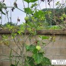 일등 행정사사무소 이미지