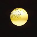 책닦는남자 이미지