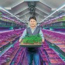 ㈜팜큐브 동아일보
