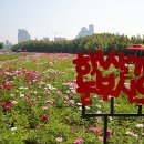 태화강 대공원 Daum카페