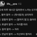 멍멍아 야옹해봐 이미지