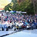 제36회 소요단풍문화제 이미지