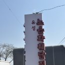 천송 | [리뷰#12]노은화훼단지(천송플라워, 노은들꽃마을, 봄소리화원)에서 반려식물 데려오기