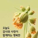 [생활의 지혜 한 꾸러미] 이미지