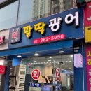 서강프라자 | [팔딱광어] 시흥시 대야동 횟집에서 회 포장 후기 / 내돈내산