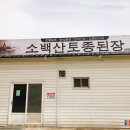 소백산토종메주 이미지