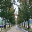 월선농장 | 코베아 네스트2와 함께한 캠린이 첫캠핑!