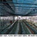 농사지어파는사람들