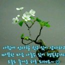 사랑방 이미지