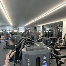 아나토미 스트랭스 이미지