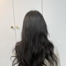뽀그리미용실 이미지