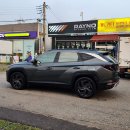 카노리터 이미지