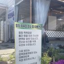 논산 탑정호 글램핑 | 논산 가족여행 숙소 좋은마음 돔펜션｜황토방 있는 편백관광농원 내돈내산 방문후기(논산가볼만한곳)