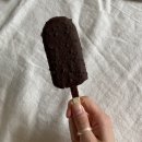 라라아이스크림 할인점 | 춘천 아이스크림 , 라라 아이스크림 할인점 (세계 과자 할인점)