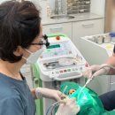 이수경치과의원 이미지