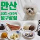 댕구상점 이미지