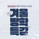 피나클어학원