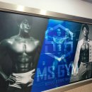 MS GYM 이미지